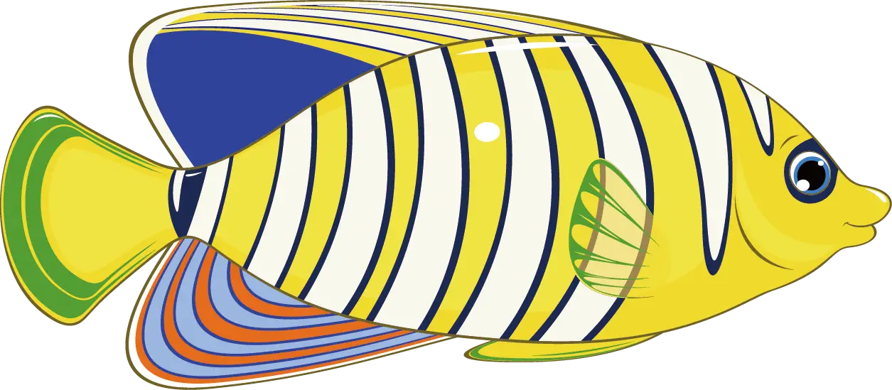 Striped Colorful Tropical Fish