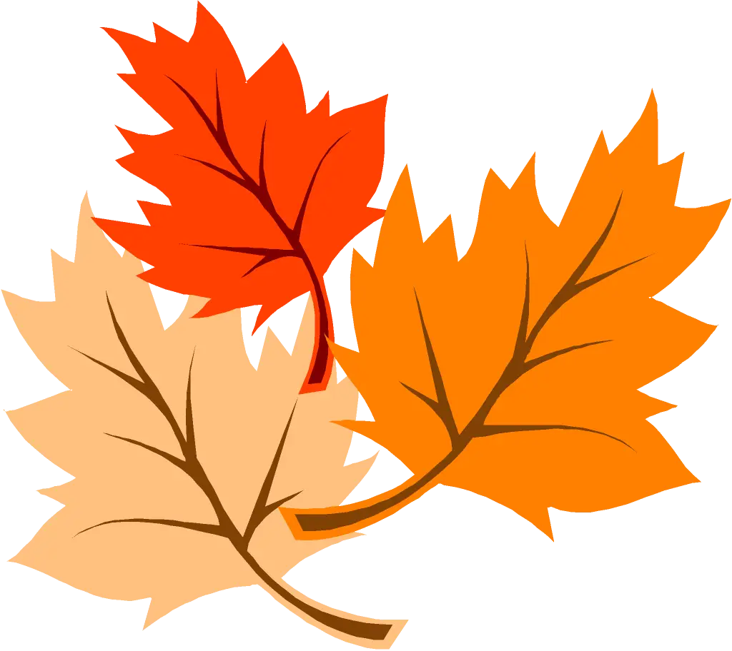 Autumn Leaves in Warm Colors