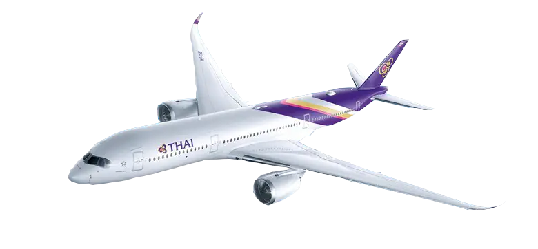 Thai Airways Airplane in Flight