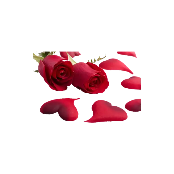 Red Roses and Scattered Petals