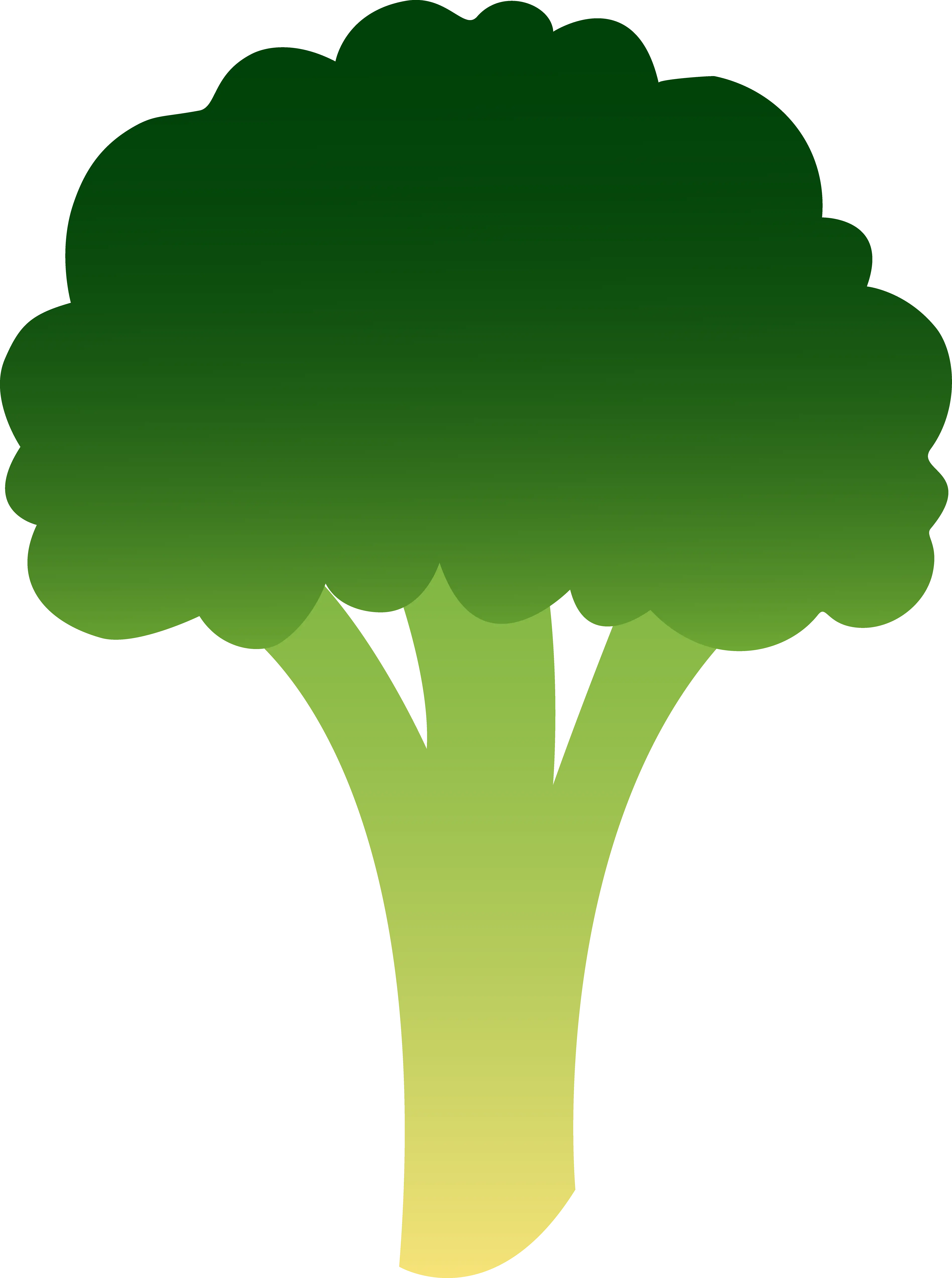 Green Broccoli Illustration