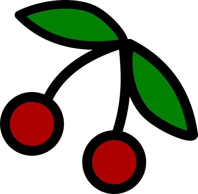 Red Cherries with Leaves