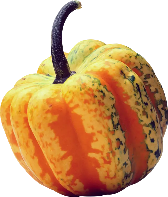 Orange Decorative Pumpkin Illustration