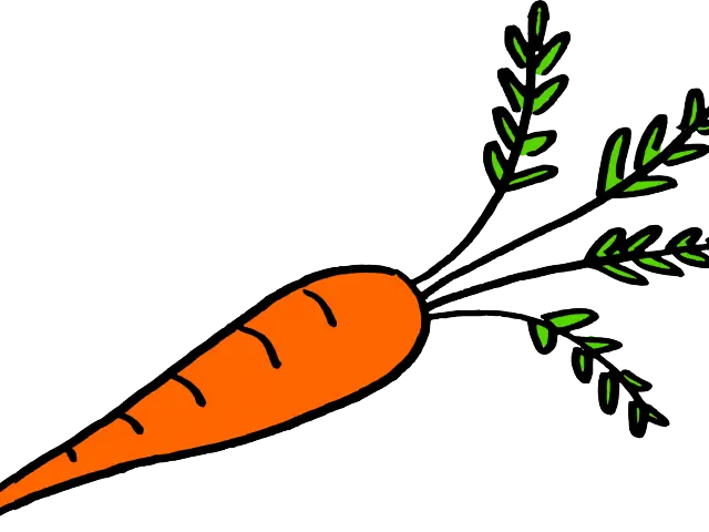 Simple Carrot Drawing