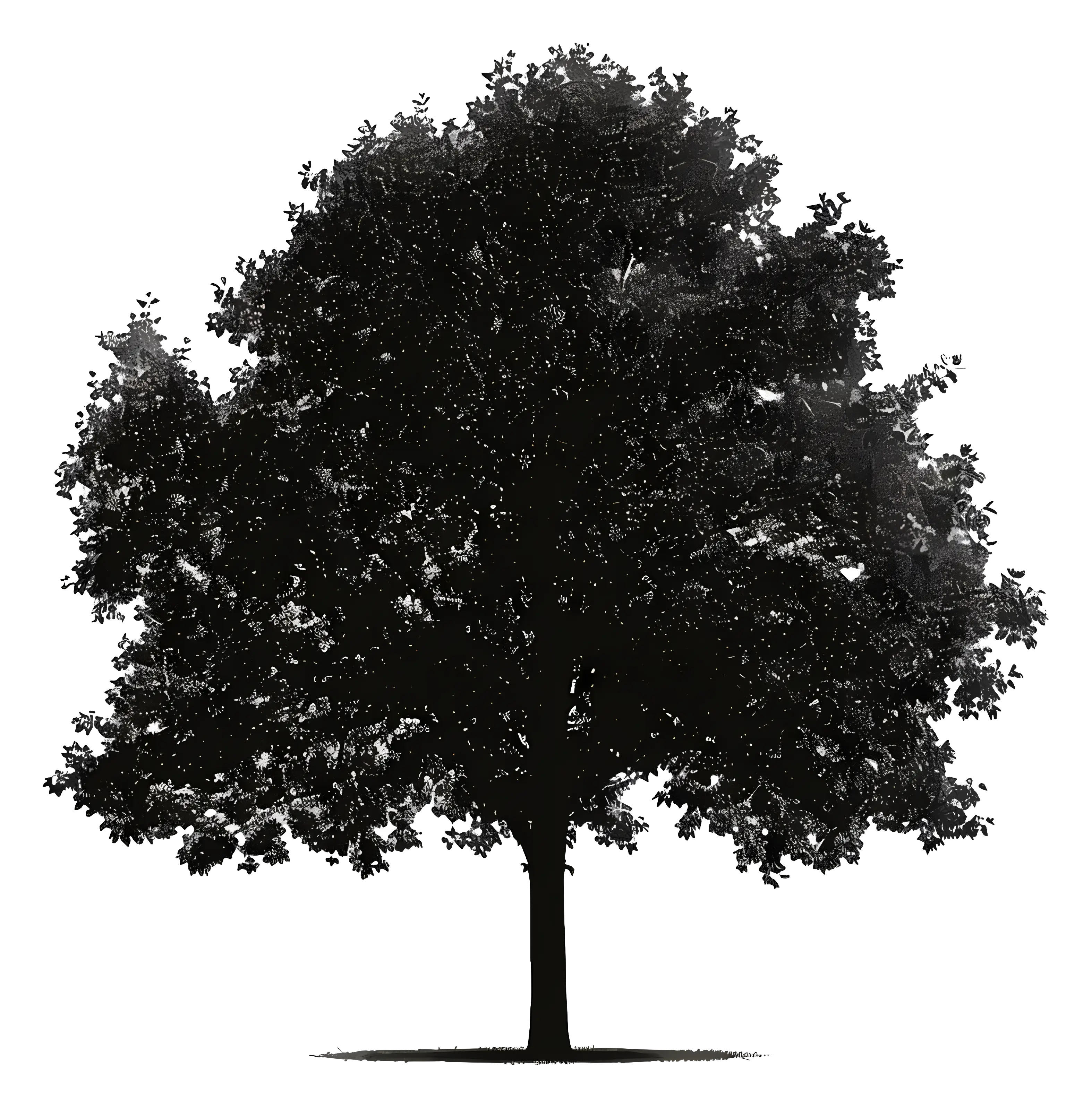 Realistic Tree Silhouette Drawing