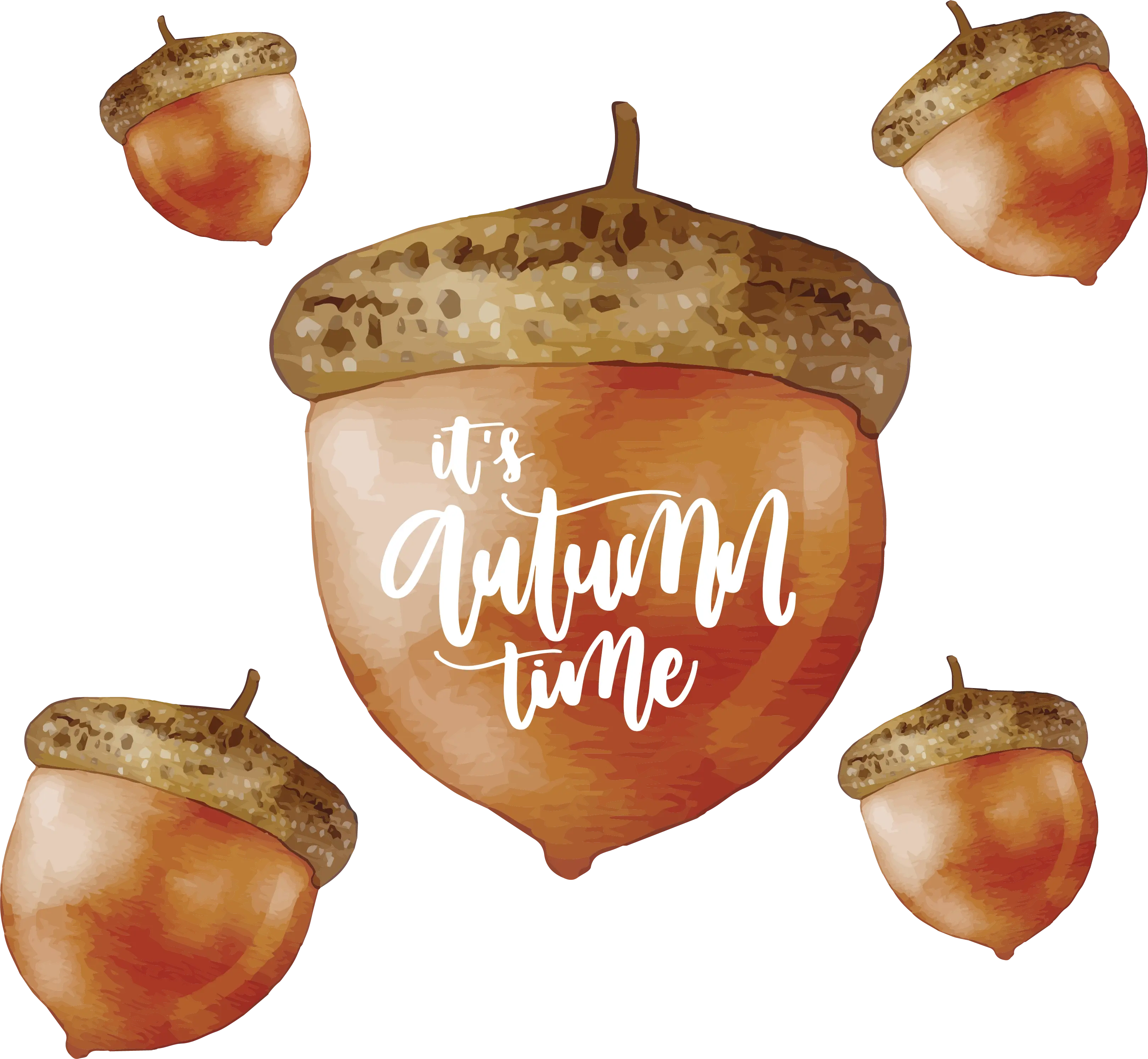 Autumn Acorns