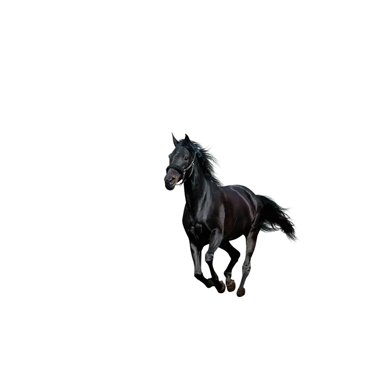 Black Horse Running in Artistic Style