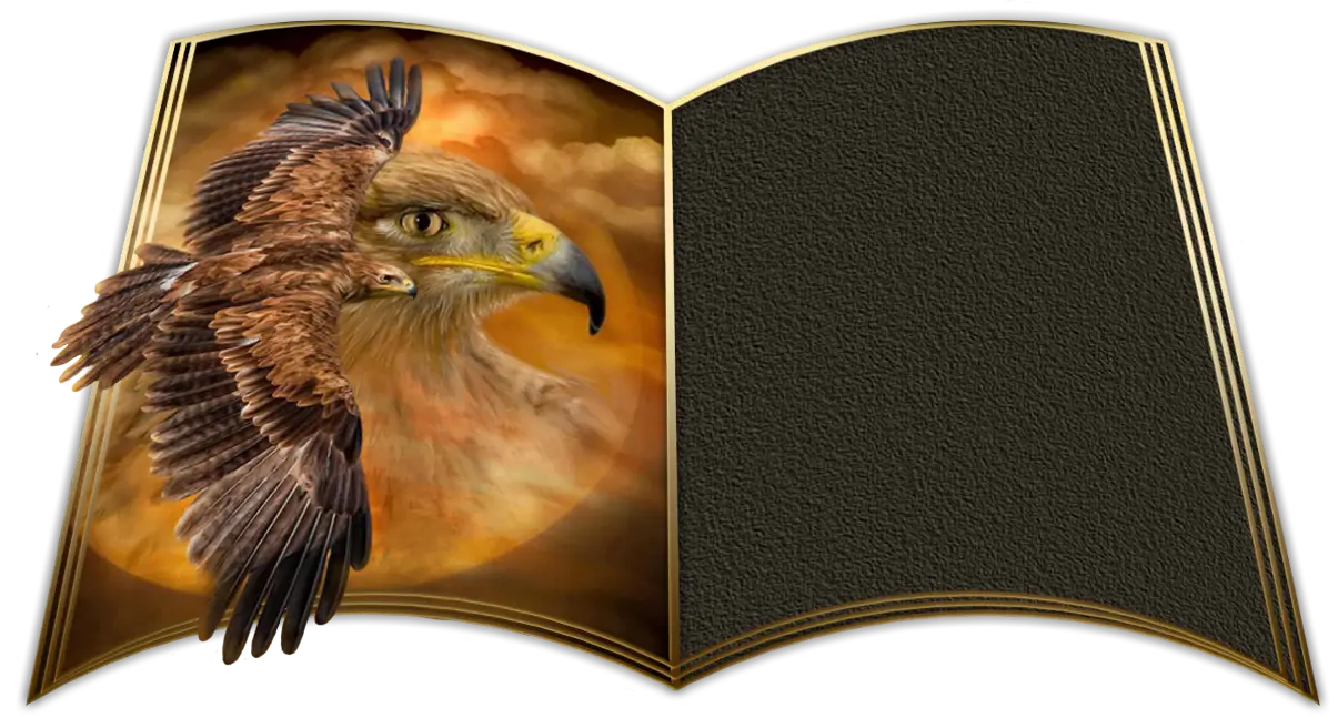 Eagle Illustration in Open Book