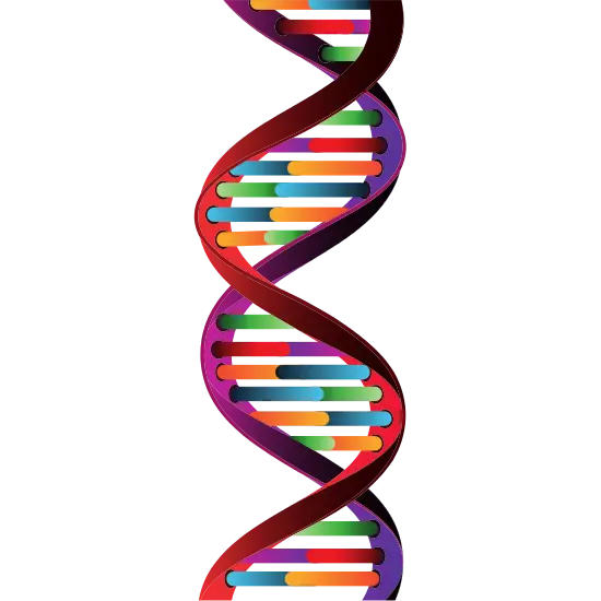 Colorful DNA Helix Illustration for Biology