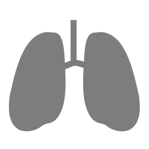 Gray Lungs Icon