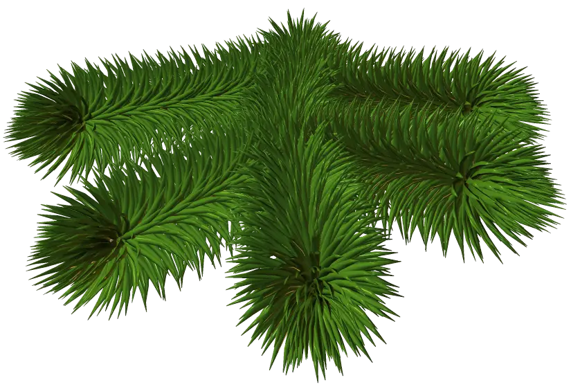 Realistic Green Pine Branch