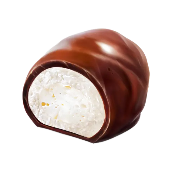 Chocolate Candy Illustration