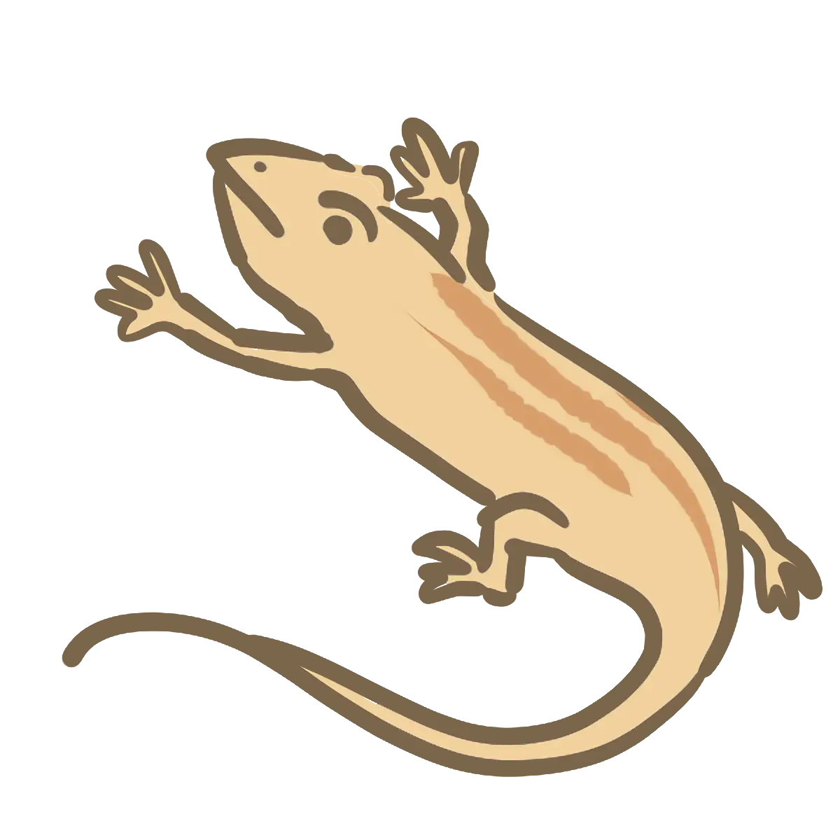 Lizard Sketch in Minimalistic Style