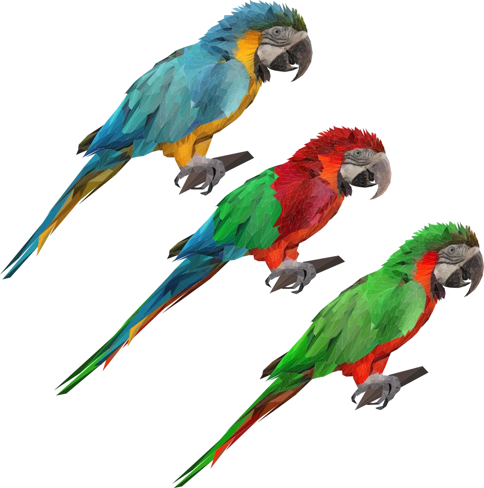 Colorful Exotic Parrots