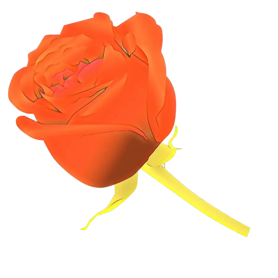 Single Red Rose Illustration