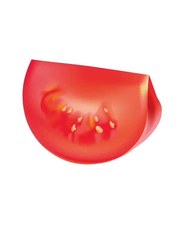 Juicy Slice of Red Tomato Illustration