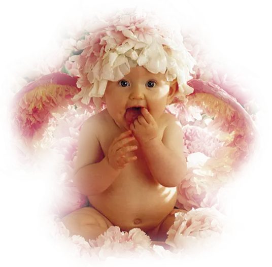 Adorable Baby with Flower Crown and Wings