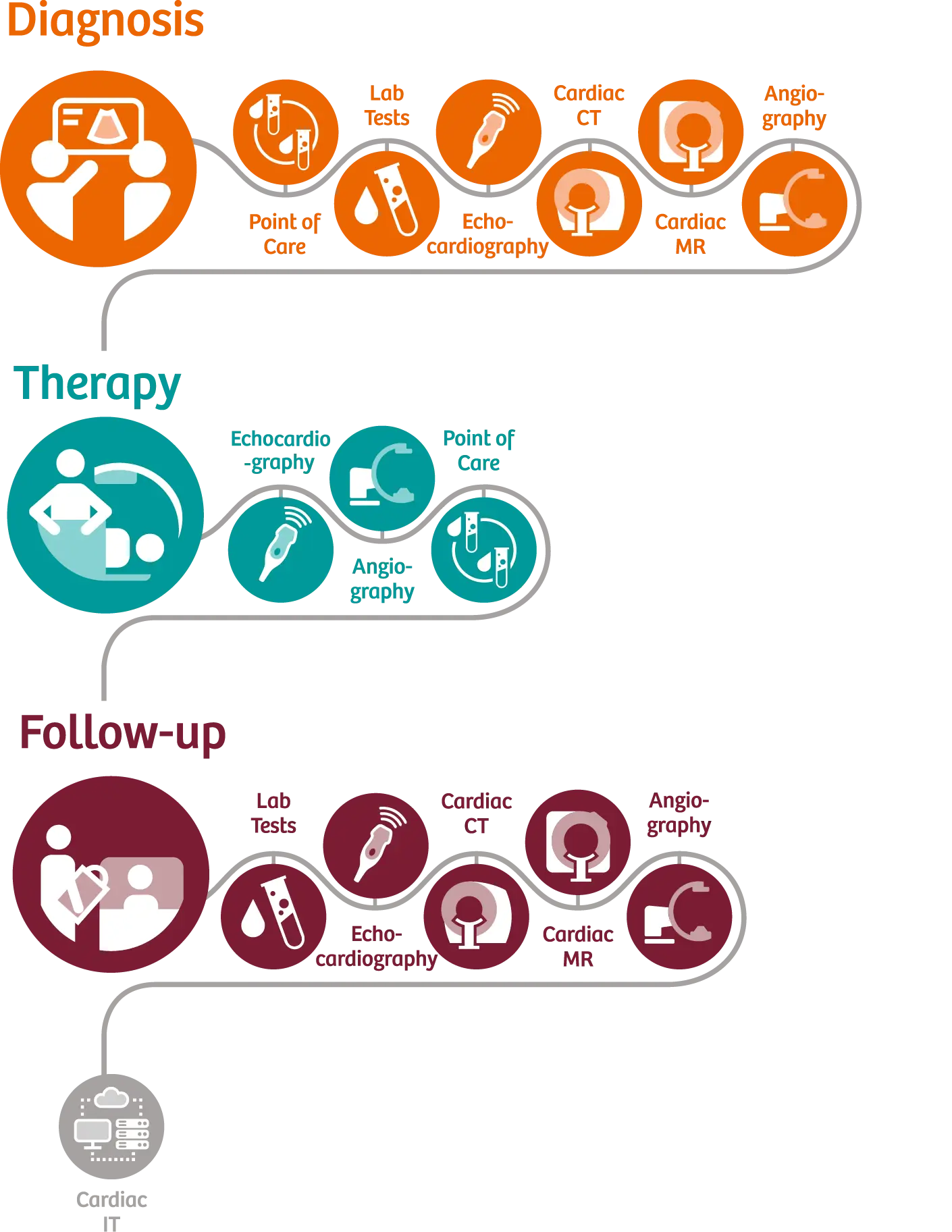 Medical Diagnosis and Therapy Infographic