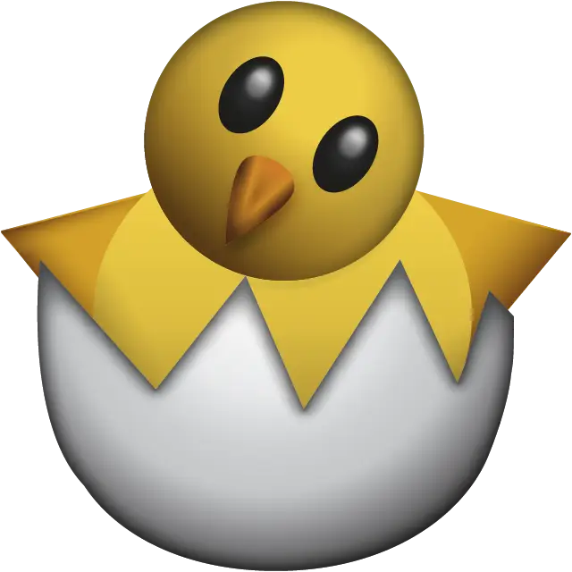 Cute Yellow Chick in Eggshell