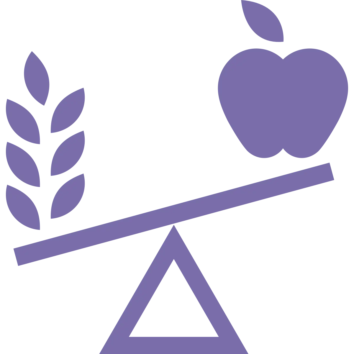 Balanced Diet Icon
