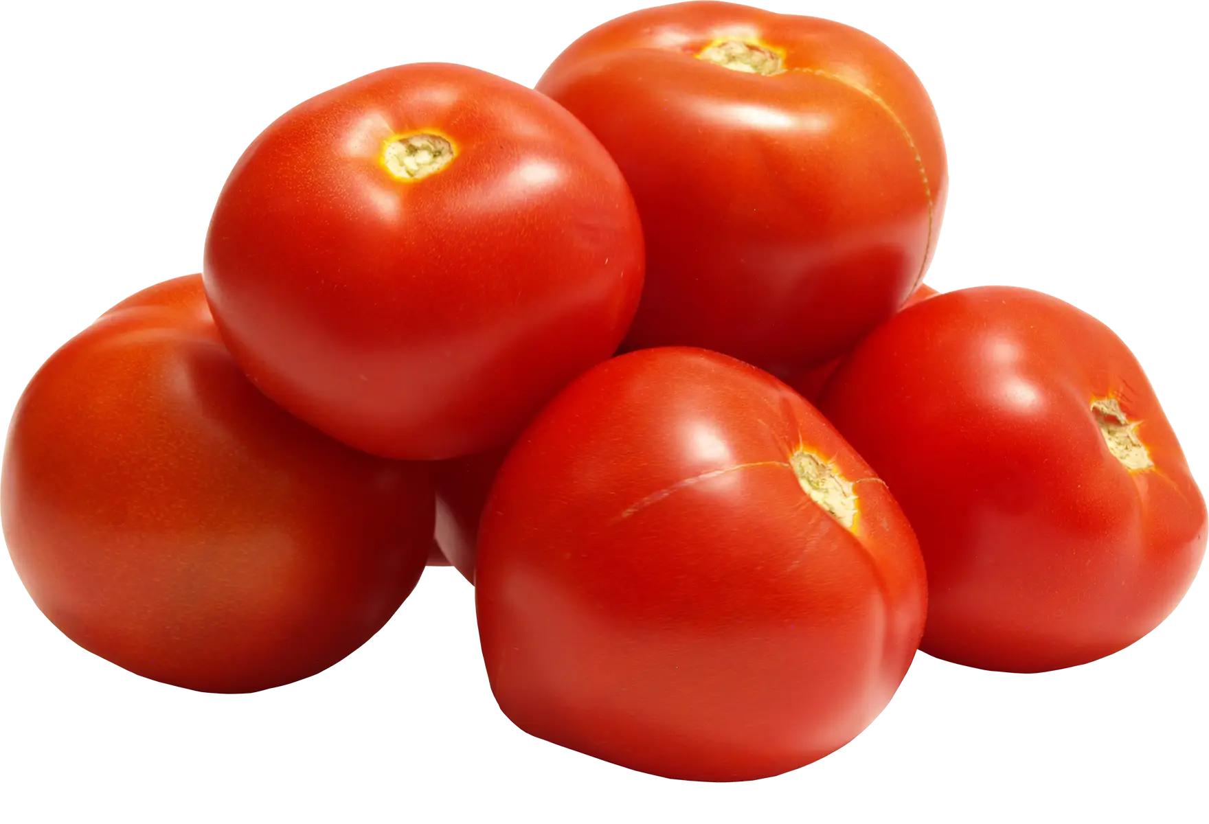 Fresh Red Tomatoes