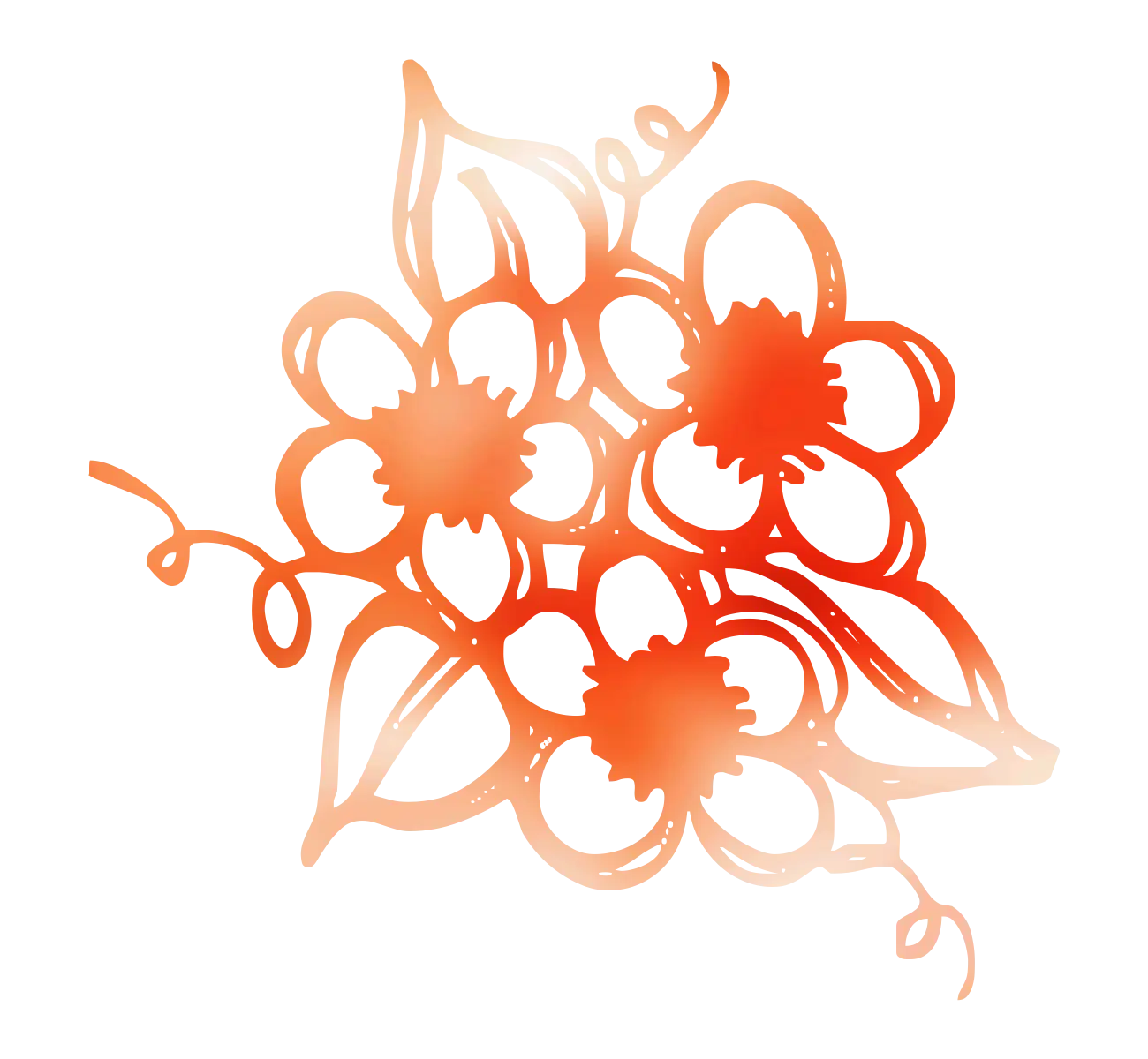 Orange Flower Doodle Illustration