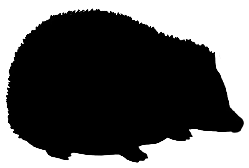 Hedgehog Silhouette Outline