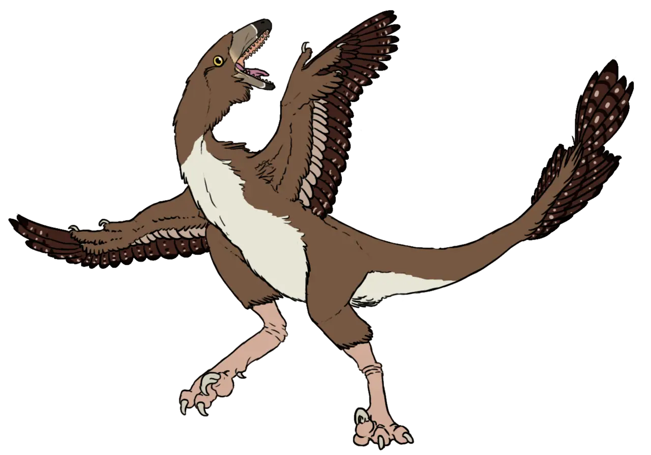 Feathered Dinosaur Illustration