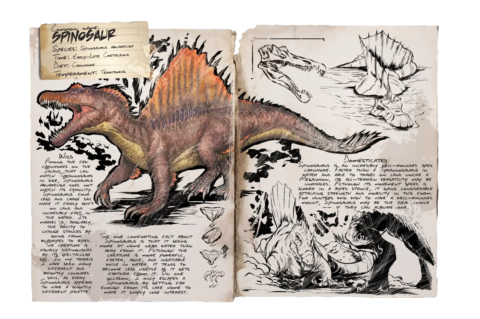 Detailed Dinosaur Sketchbook with Spinosaurus