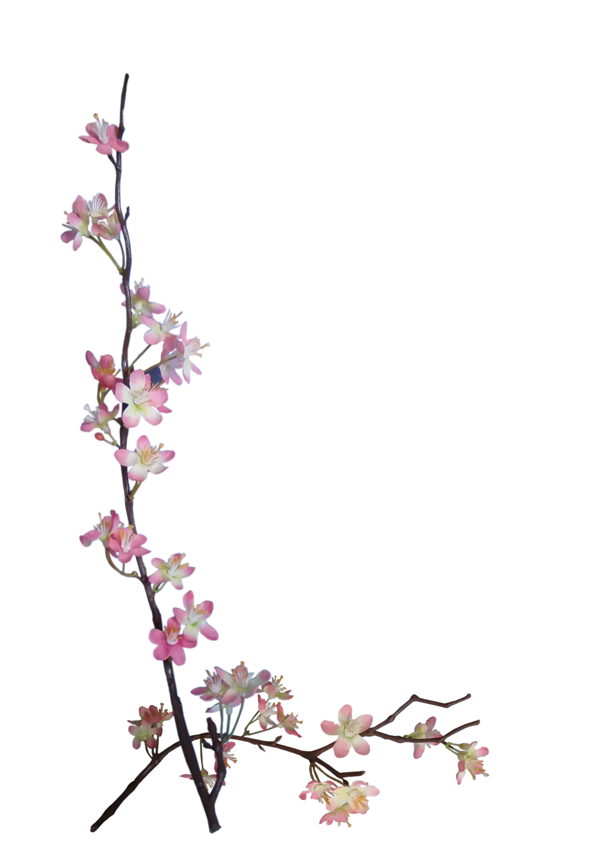 Flowering Branch Artistic Design with Pink Blossoms