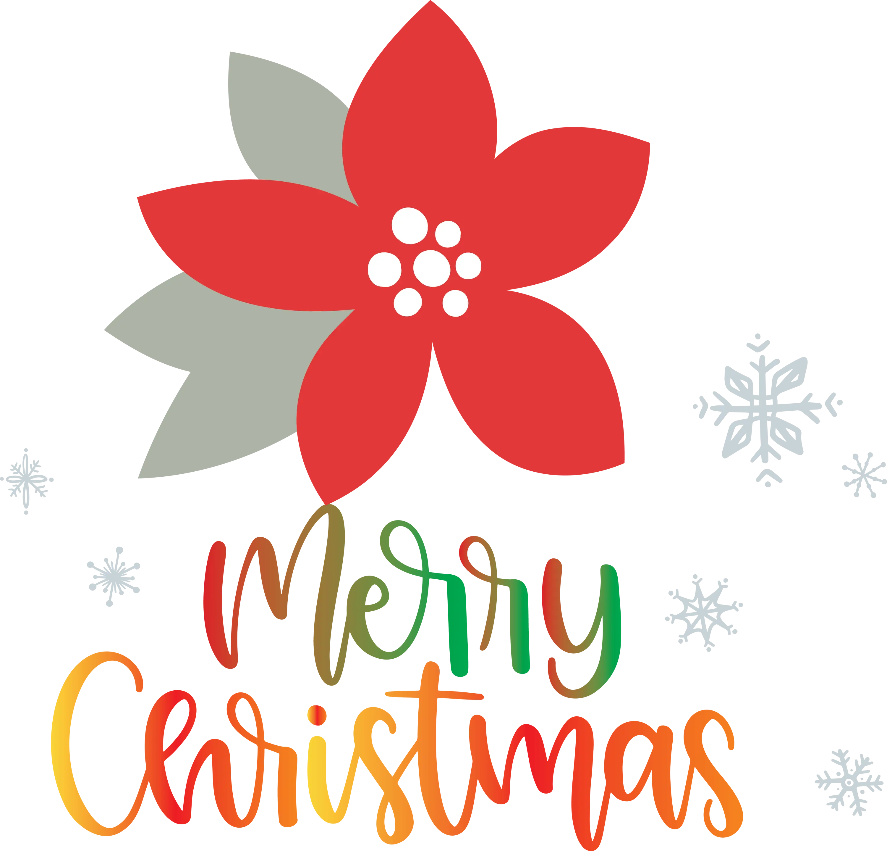 Merry Christmas with Poinsettia Flower