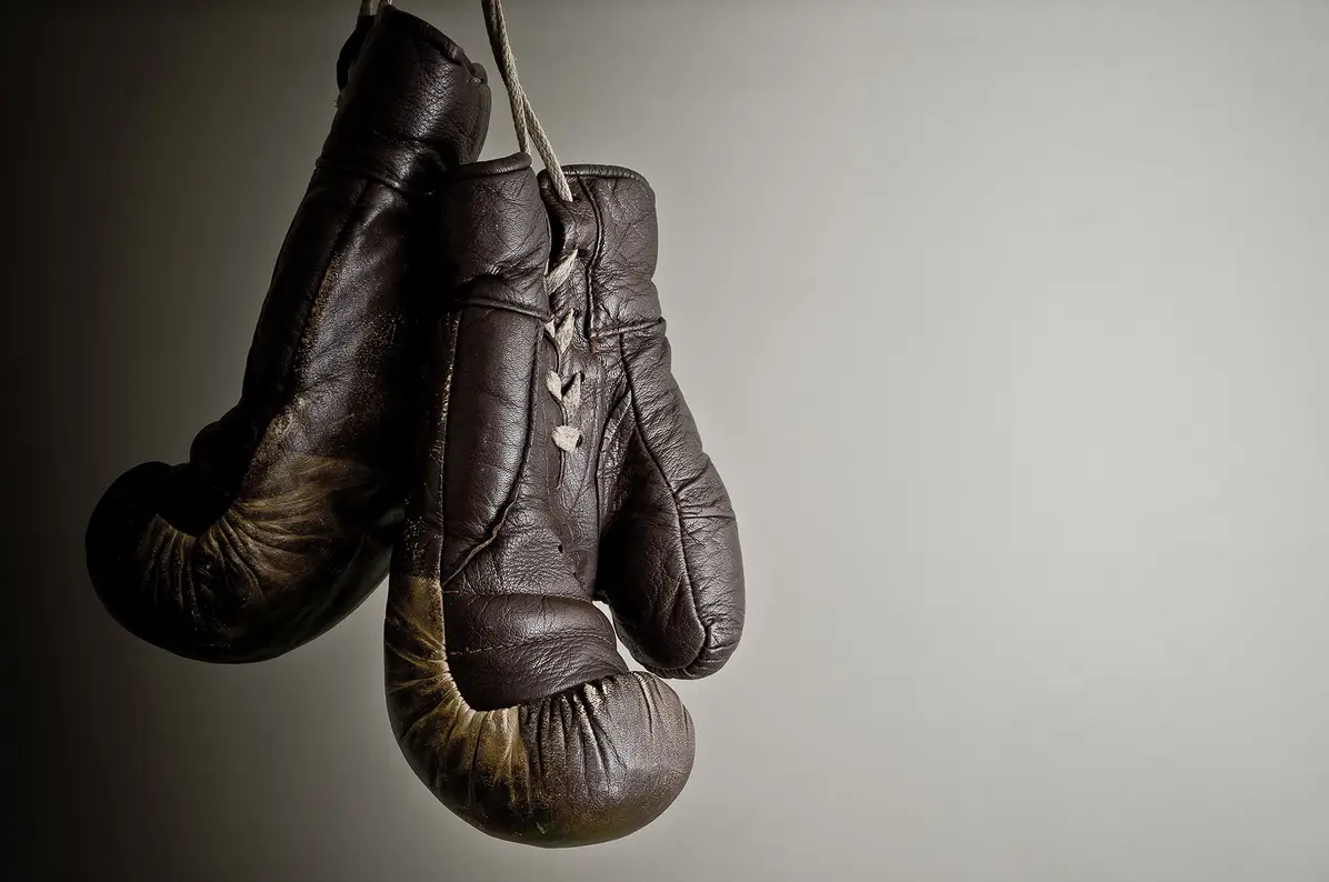 Vintage Hanging Boxing Gloves