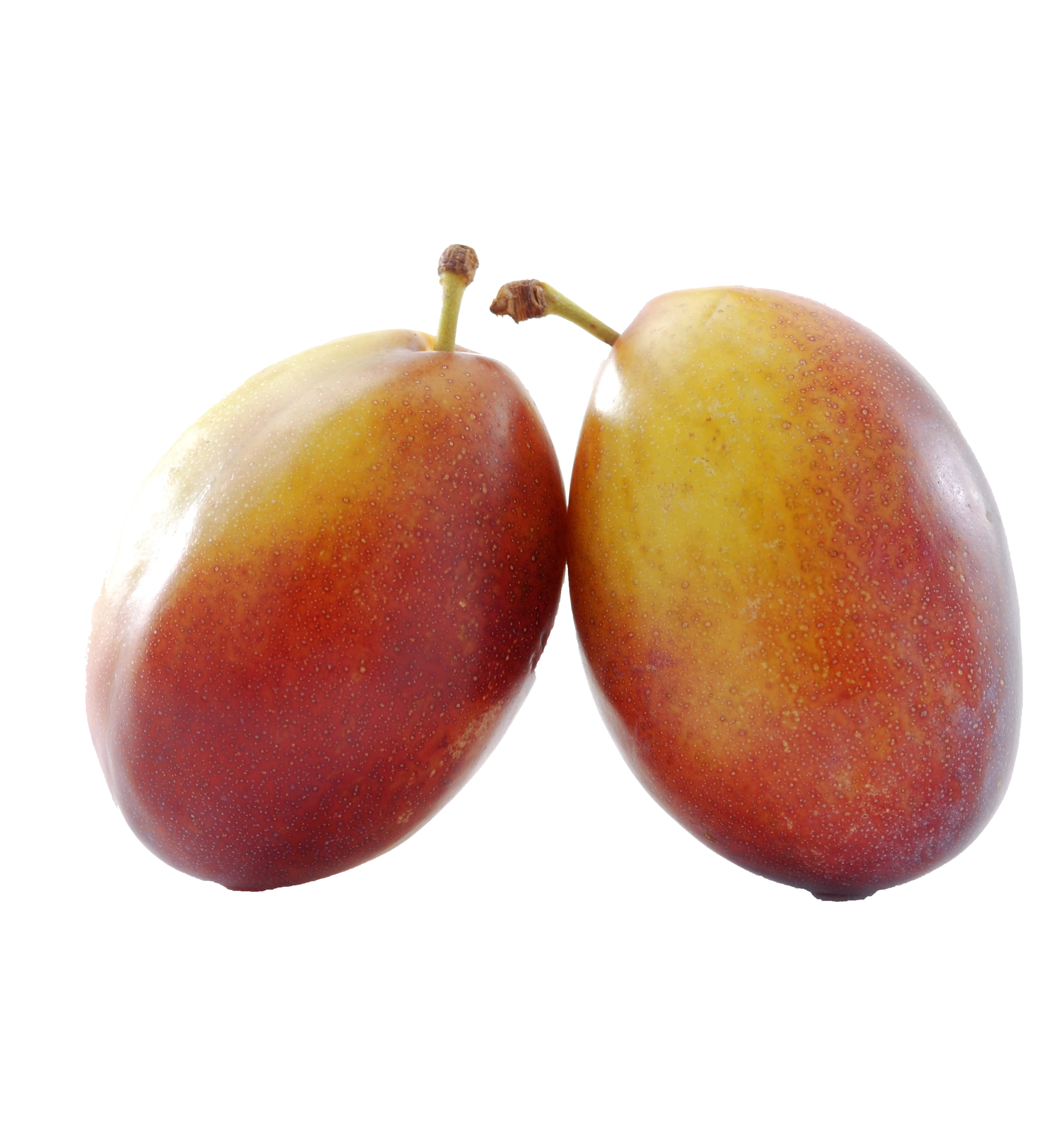 Fresh Plums