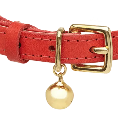 Red Pet Collar with Bell