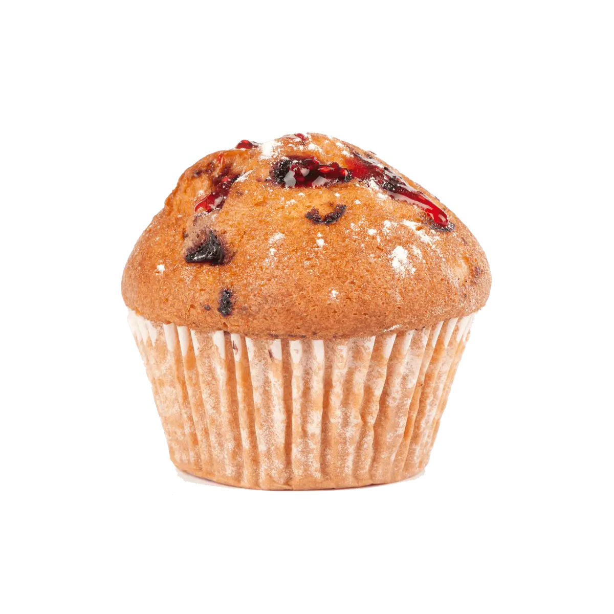 Delicious Blueberry Muffin