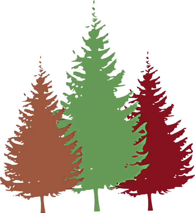 Colorful Pine Trees Illustration