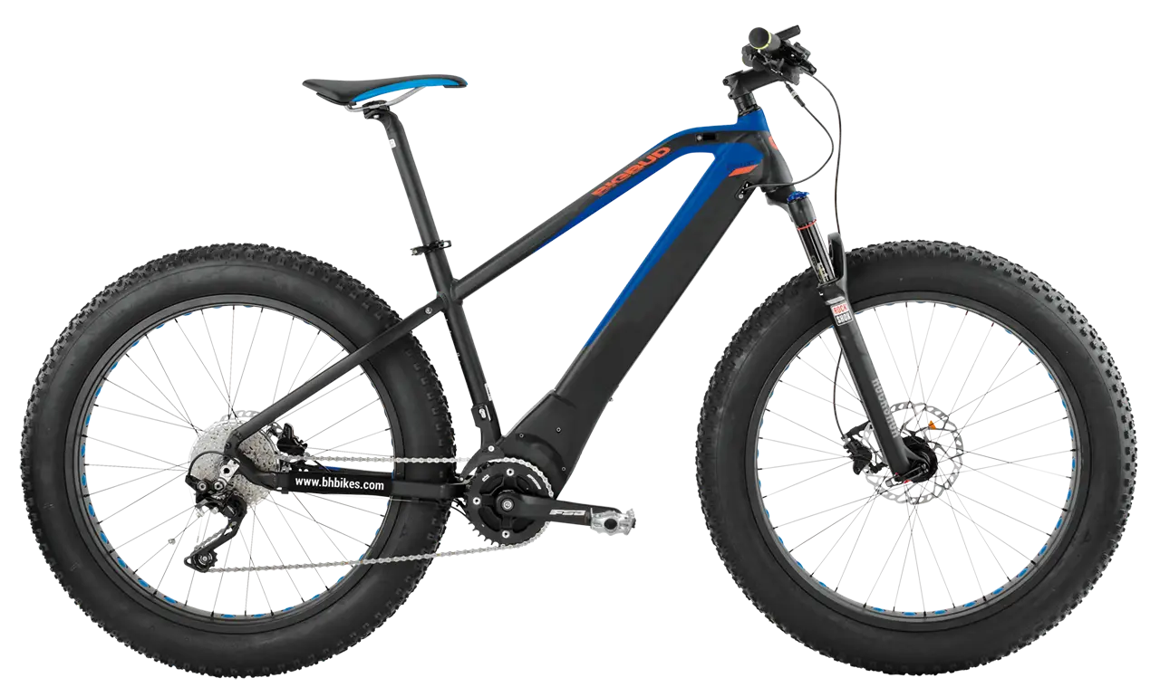 Electric Mountain Bike with Fat Tires