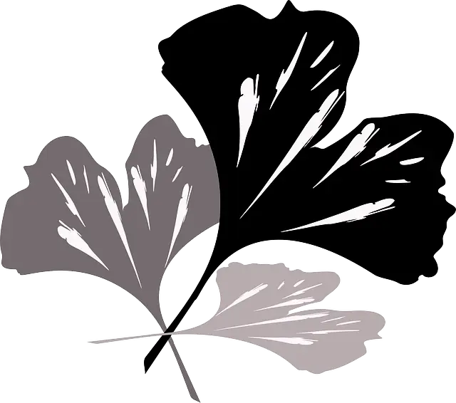 Ginkgo Leaves Silhouette