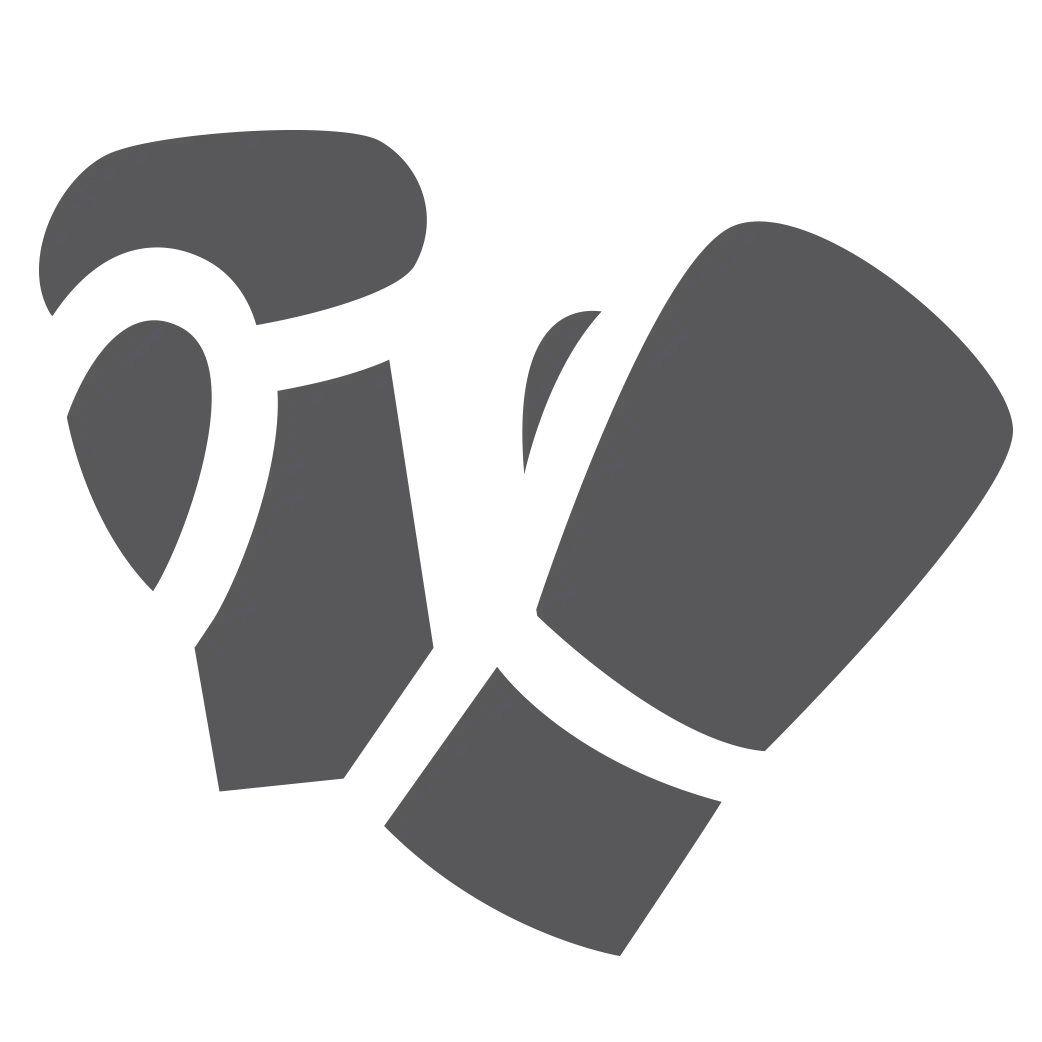 Gray Boxing Gloves Icon