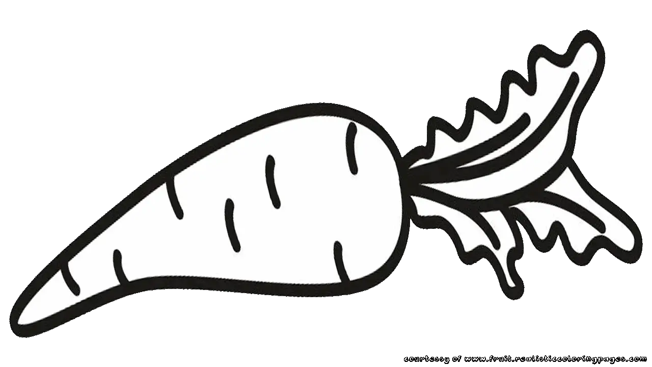 Simple Carrot Drawing