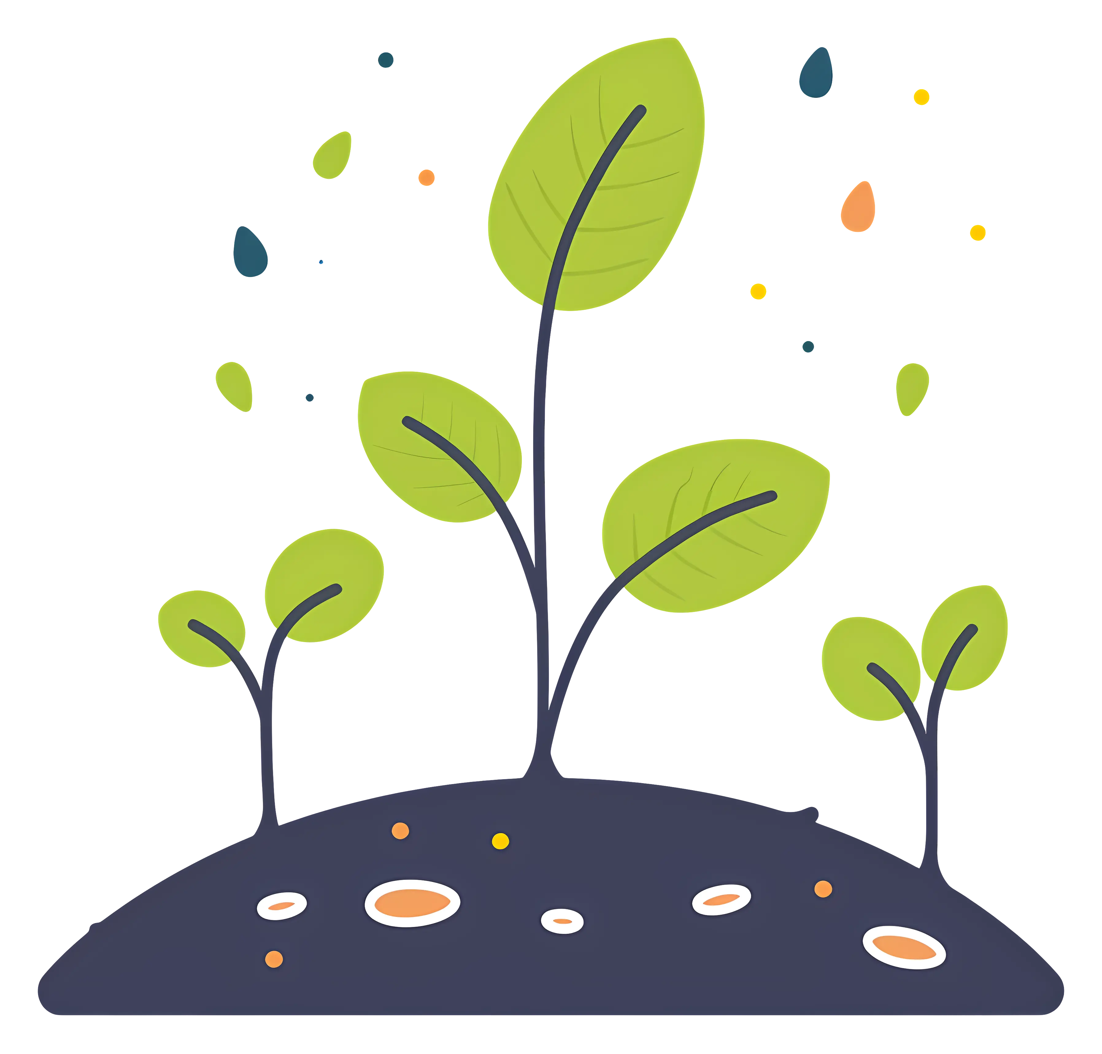 Sprouting Plant with Leaves