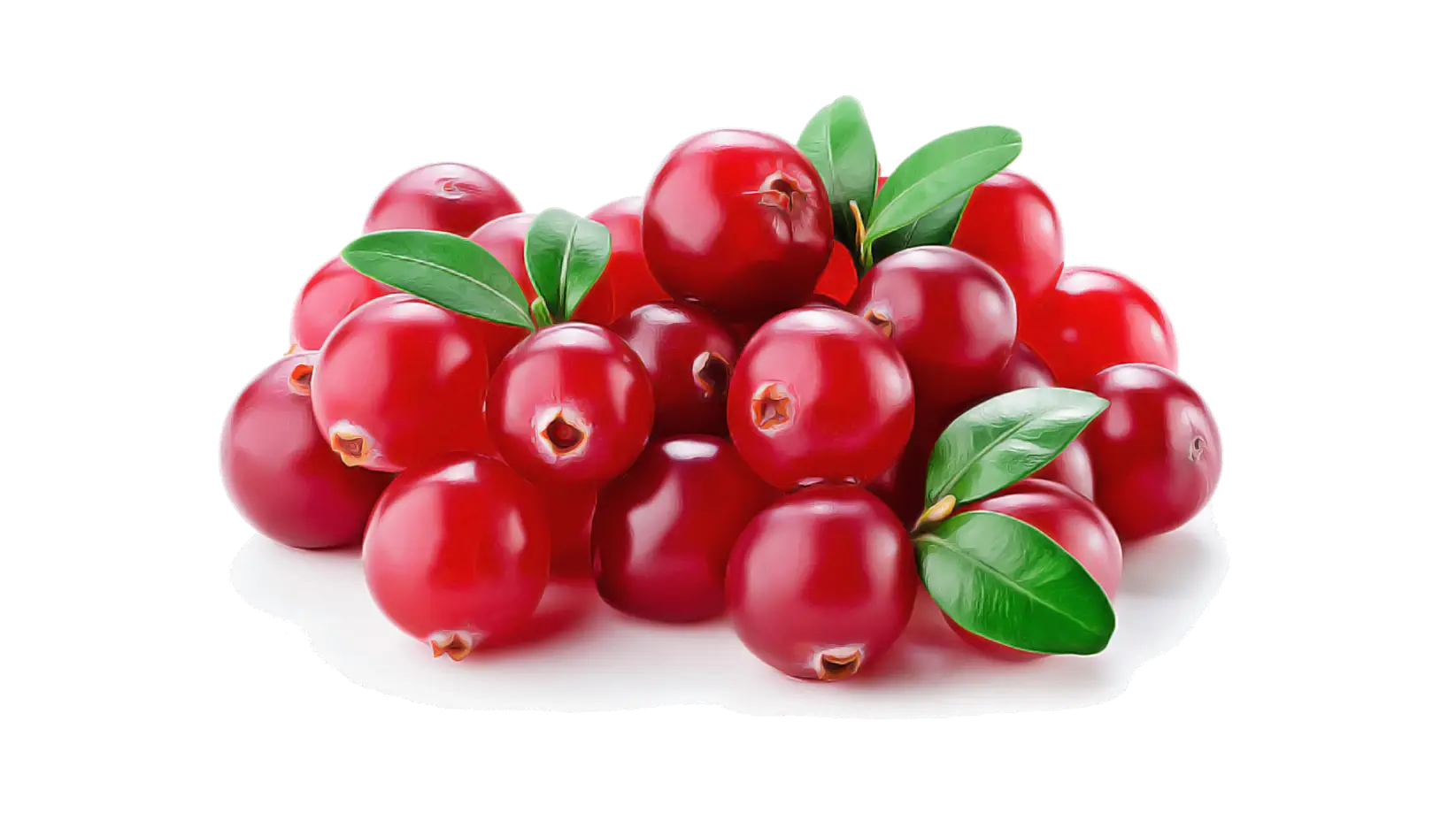 Fresh Cranberries with Green Leaves