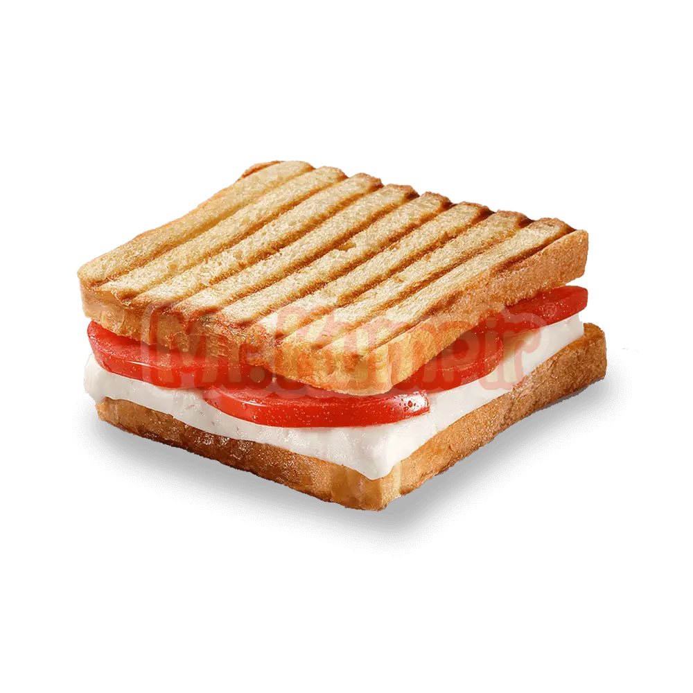 Grilled Sandwich with Tomato and Cheese