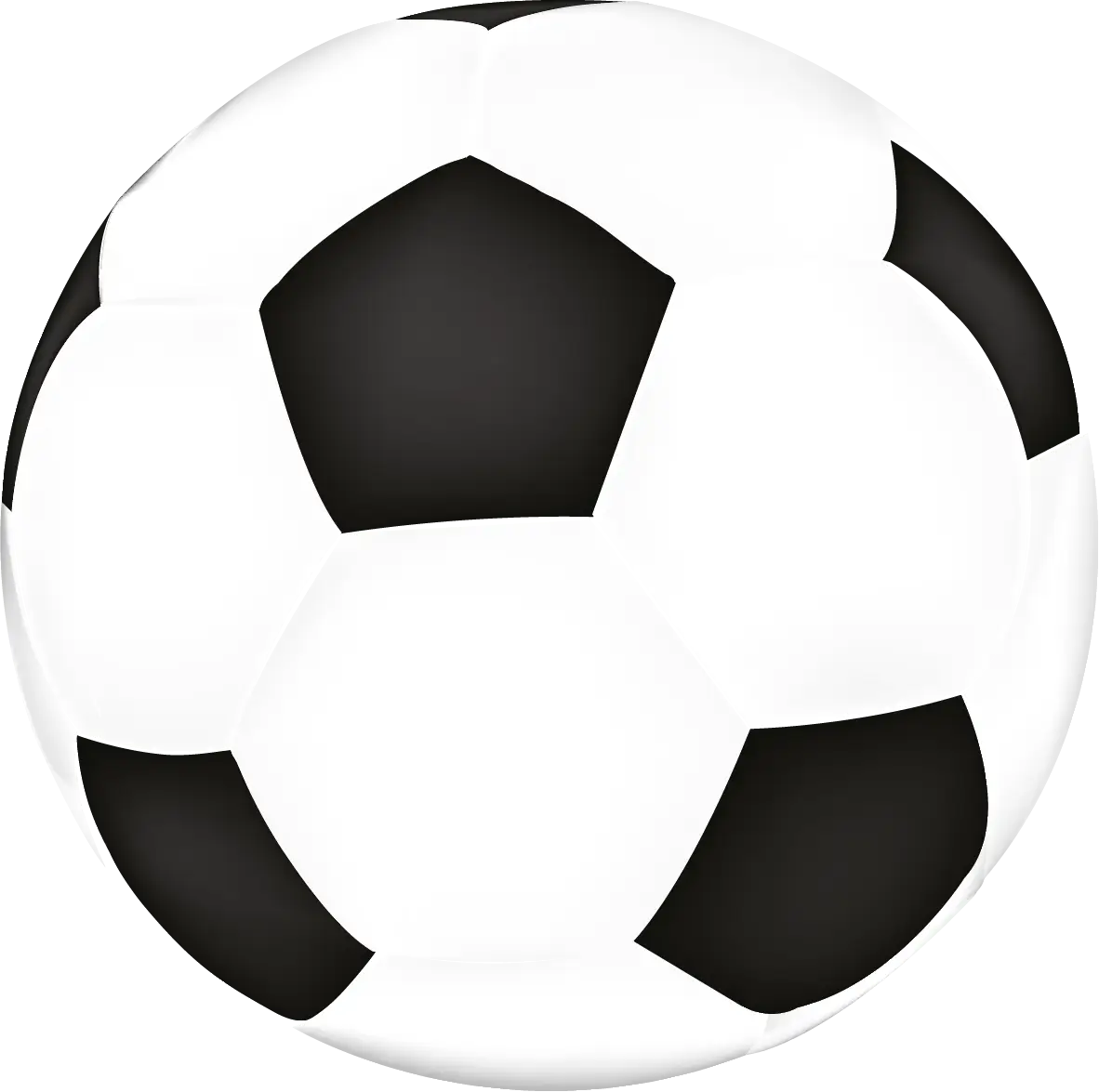 Classic Black and White Soccer Ball