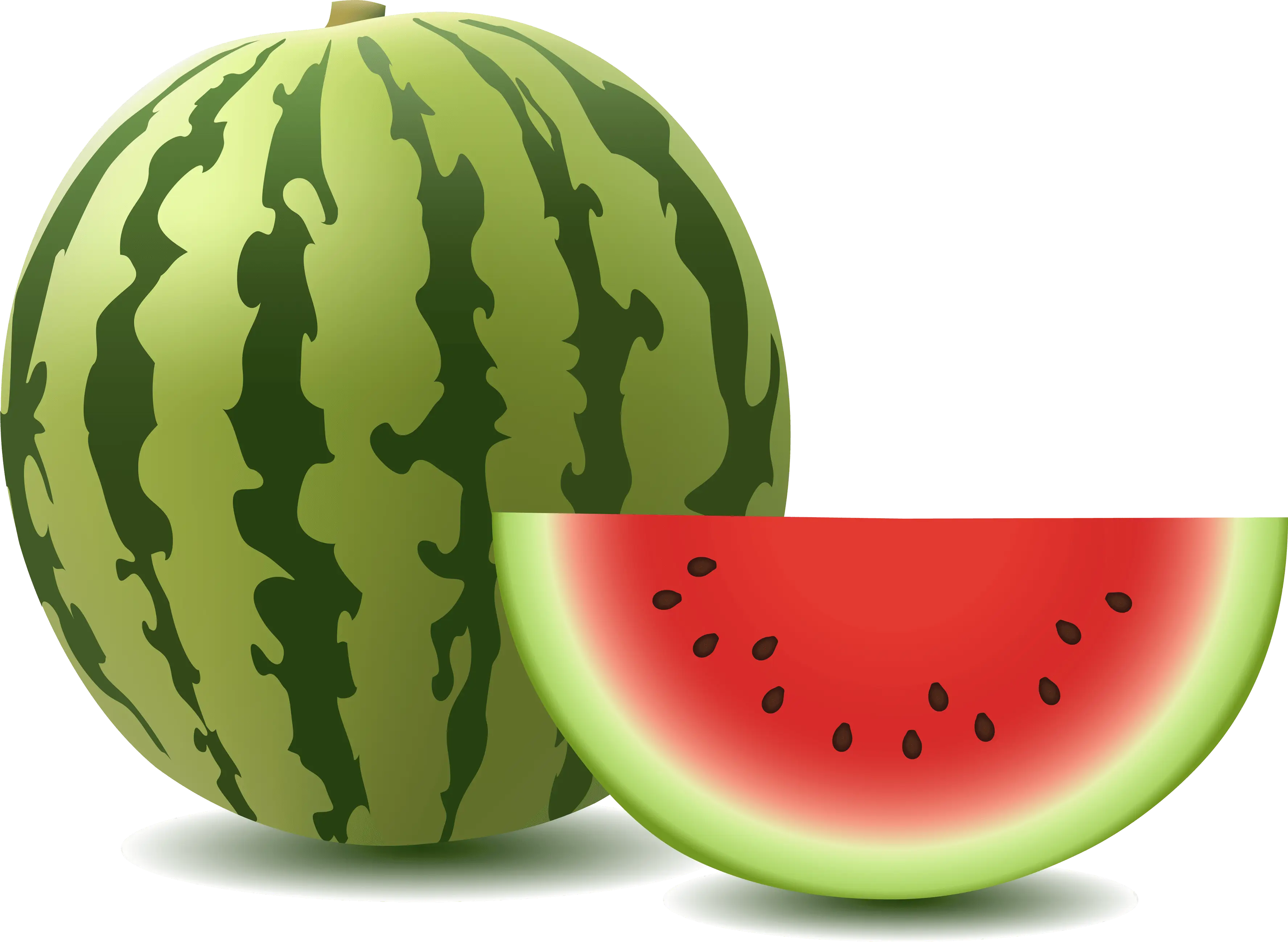 Whole Watermelon and Slice Illustration