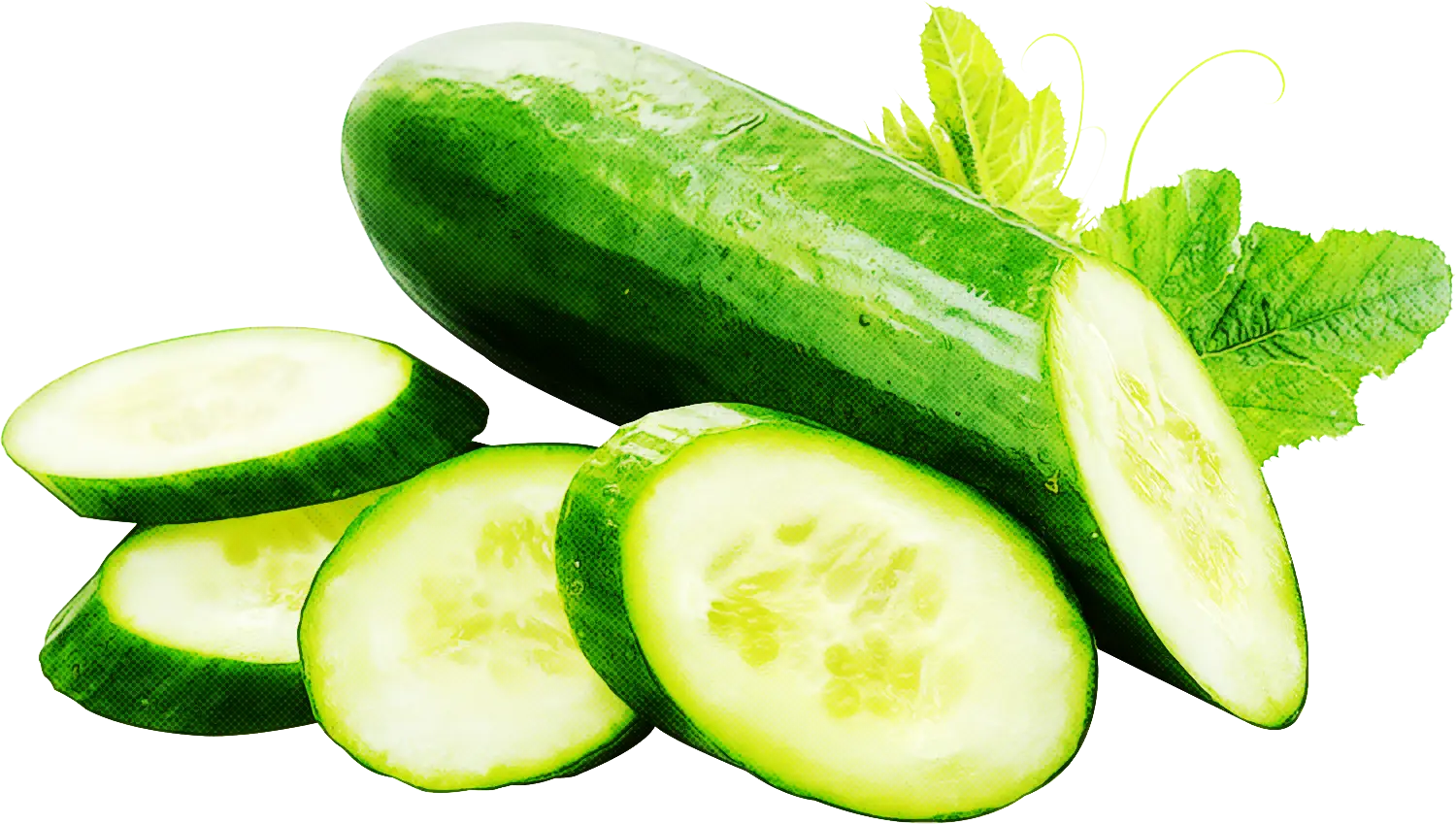 Fresh Green Cucumber with Slices