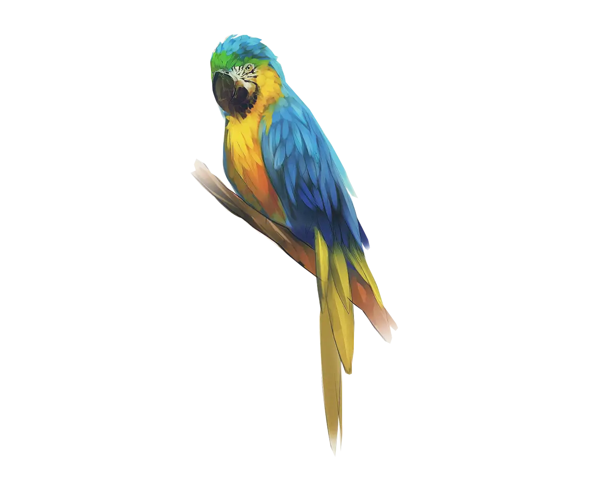 Colorful Blue and Yellow Parrot on a Branch