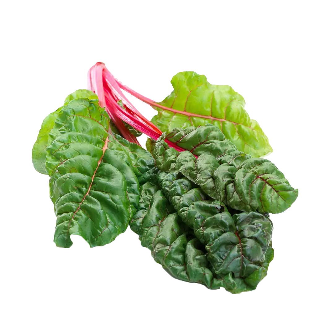 Fresh Swiss Chard Leaves