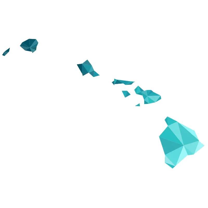 Hawaii Islands in Geometric Map Style