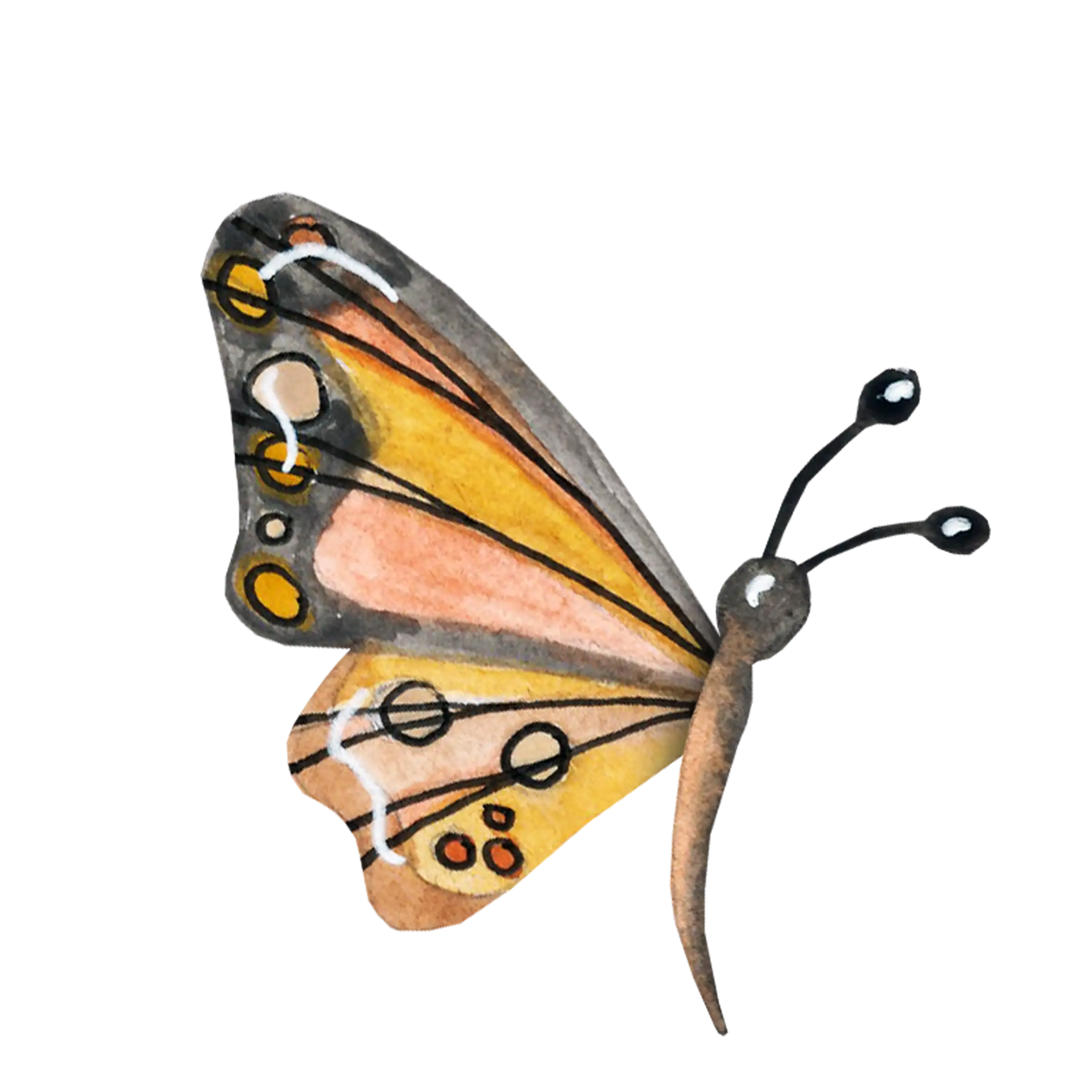 Watercolor Butterfly Wing Illustration